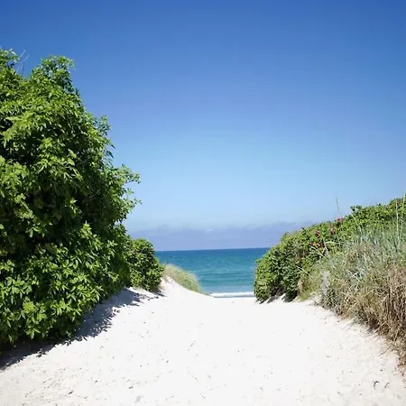 Ada's Nest Comfortable *