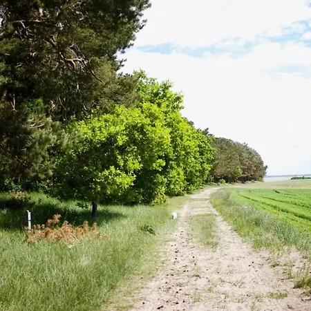 Ada's Nest Comfortable Holiday home